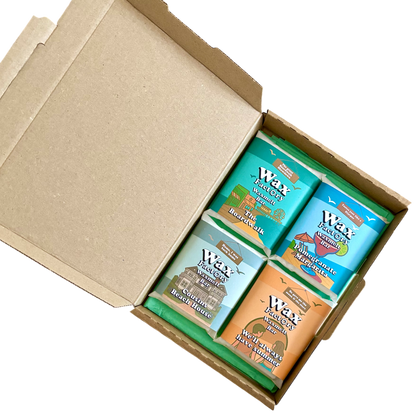 WE’LL ALWAYS HAVE SUMMER wax melt box