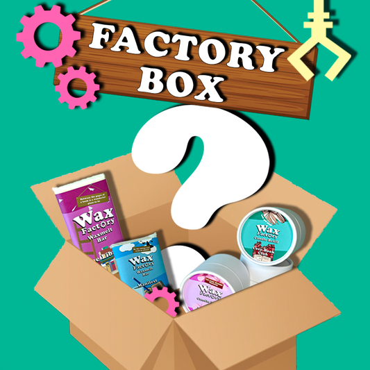 THE FACTORY MYSTERY BOX